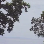 Pantai Boratei Nabire