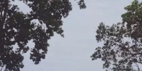 Mengenal Keindahan Pantai Boratei di Distrik Teluk Kimi Nabire