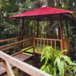 Blessing Stone Nabire