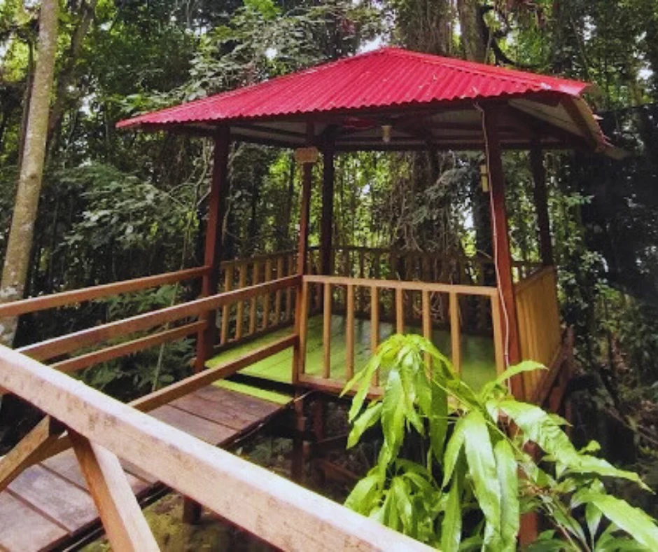 Blessing Stone Nabire