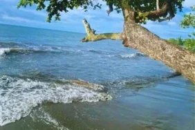 Pantai Budi Nabire