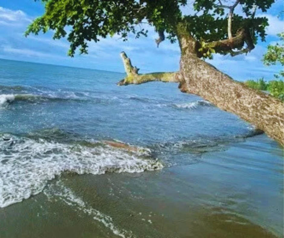 Pantai Budi Nabire
